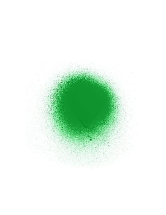 Punky Colour Temporary Hair Color Spray Jaguar Green - 100g