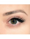 Phnx Cosmetics EyeLashes Amalthea