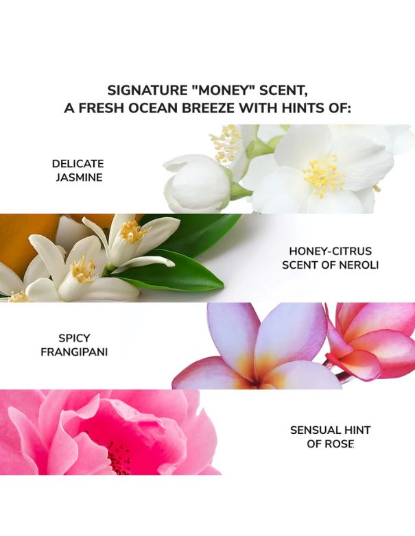 Color Wow Money Laundering Hydrating Shampoo - 250ml