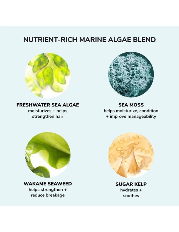 Color Wow Money Laundering Hydrating Shampoo - 250ml