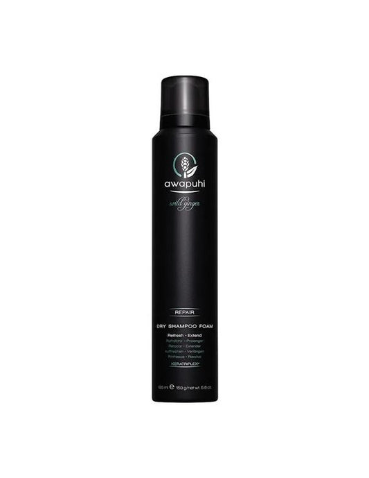 Paul Mitchell Dry Shampoo Foam - 195ml