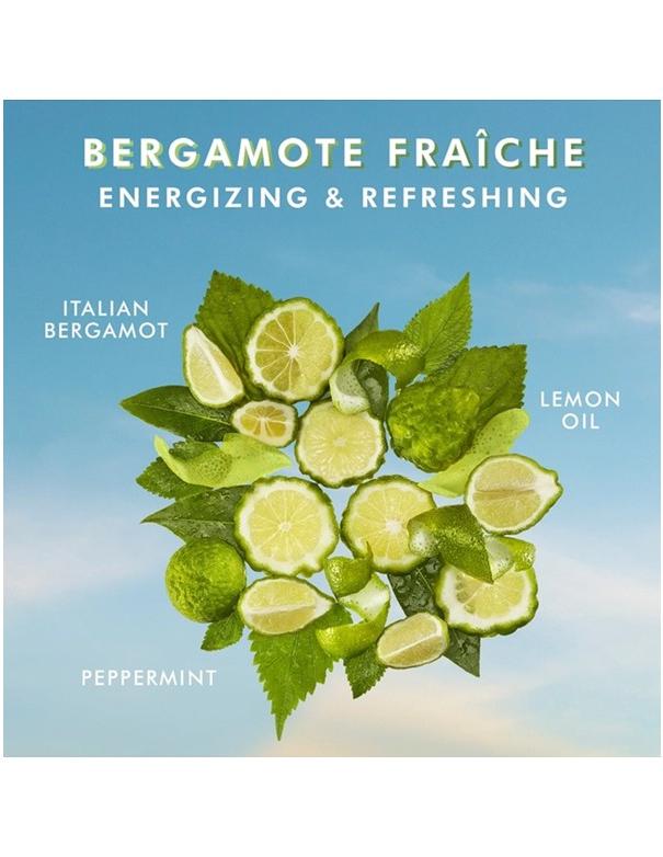 Moroccanoil Body Lotion Bergamote Fraiche - 360ml