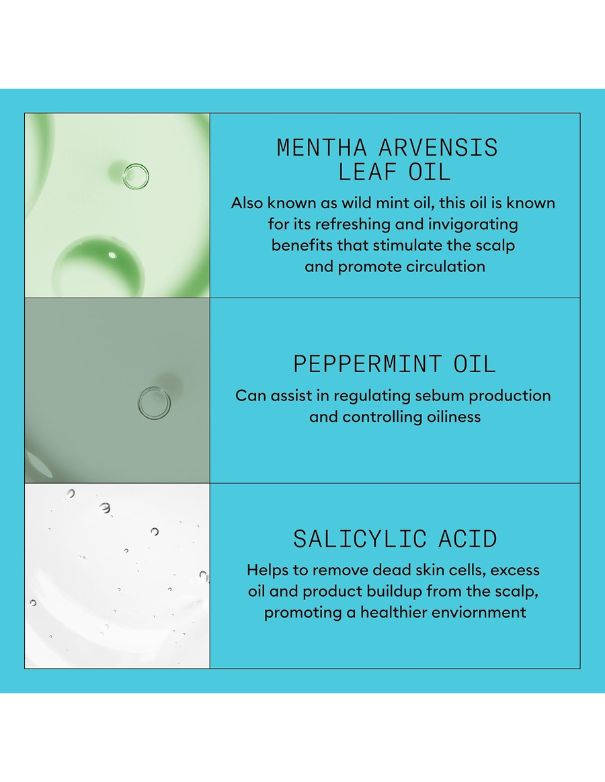 Nioxin System 3 Cleanser - 300ml