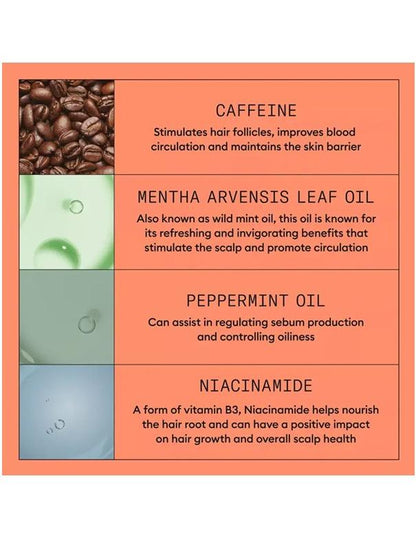 Shampoing Nioxin System 4 pour cuir chevelu et cheveux - 300 ml