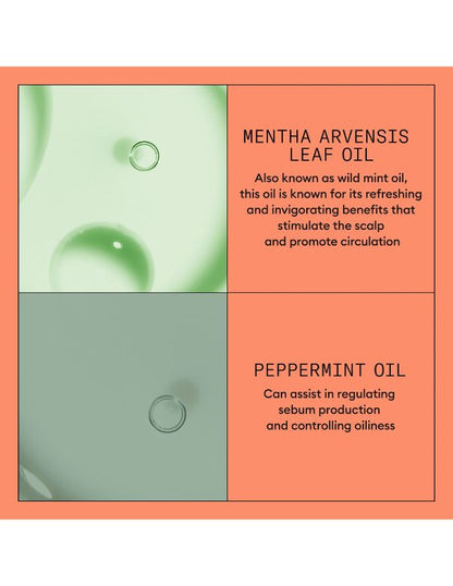 Nioxin System 4 Scalp Therapy Conditioner - 1L