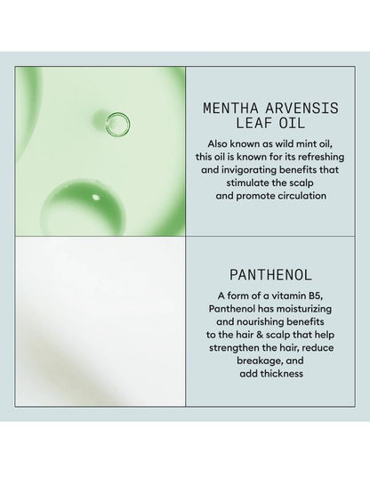 Nioxin Niospray Fixation Forte - 300 g