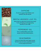 Nioxin System 3 Kit
