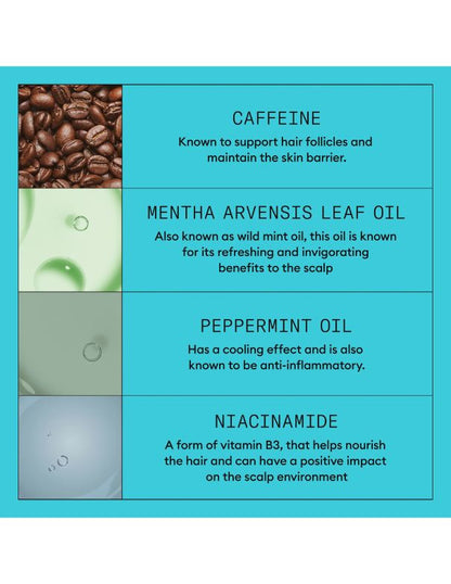 Kit d'essai Nioxin System 3