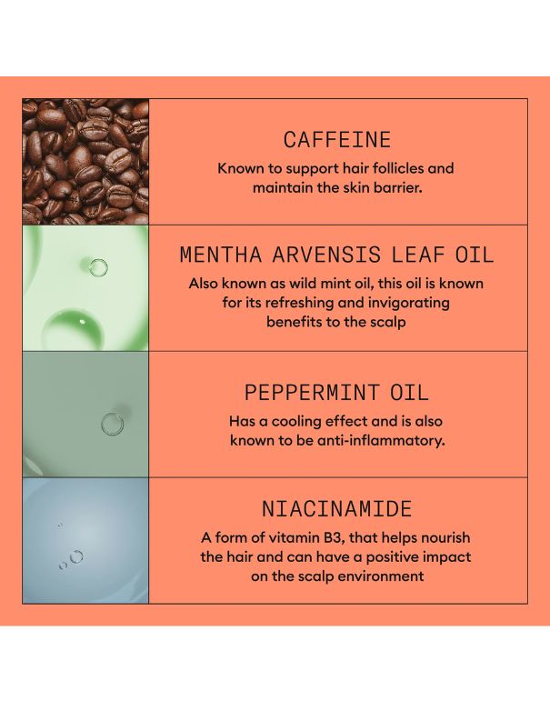 Nioxin System 4 Trial Kit