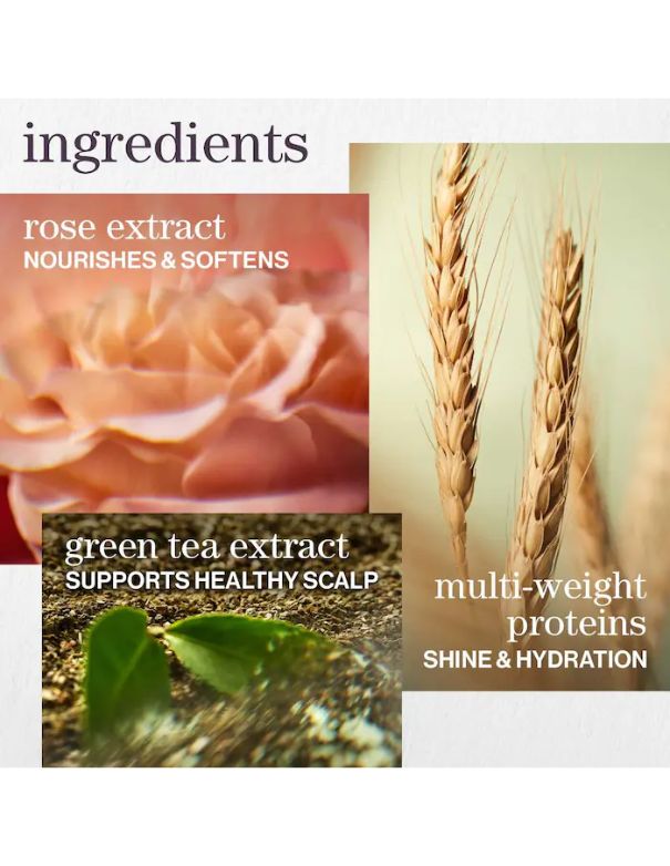 Pureology Hydrate Shampoo - 250ml