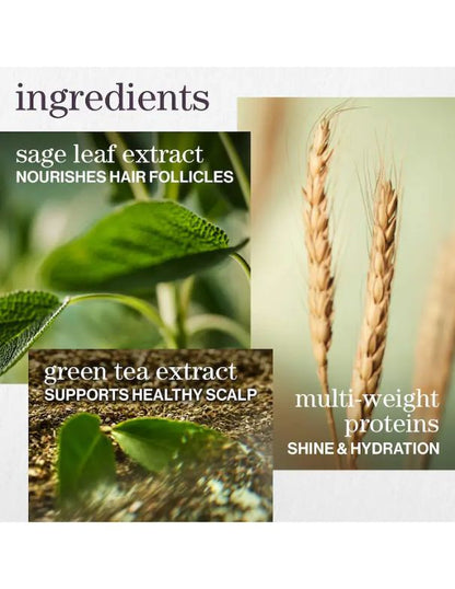 Pureology Hydrate Conditioner - 50ml